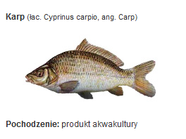 Karp cały wygląd