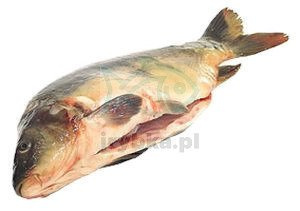 Karp świeży wypatroszony z głową / z hodowli Polskiej