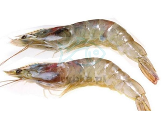 Krewetki Vannamei całe w pancerzu -/50-60 szt./kg - 25% glazury