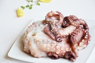 Ośmiornica cała - surowa mrożona / 2,0-3,0kg.