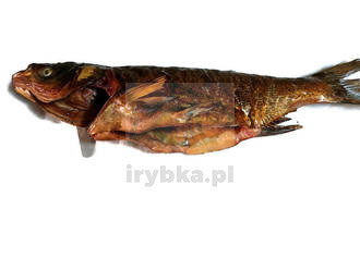 Tołpyga wędzona w dzwonko / 0,8 kg szt.