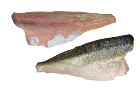 Sandacz filet świeży 