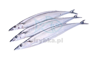 Belona - mrożona / 18-25 szt. kg /