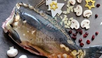 Karp świeży patroszony bez głowy / z hodowli Polskiej