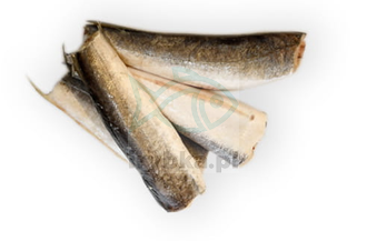 Morszczuk tusza bez głowy