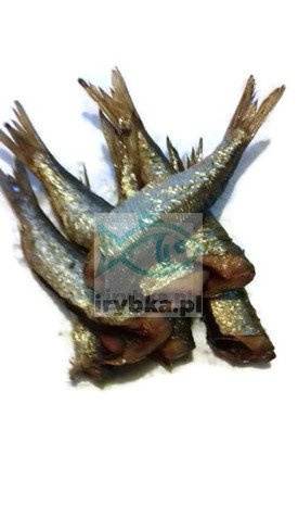 Śledź tuszka - wędzony