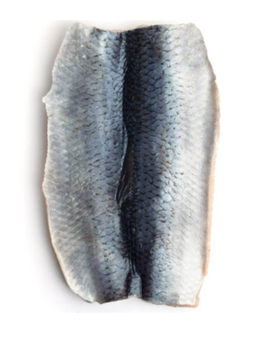 Śledzie zielone - filety śledziowe ze śledzia atlantyckiego