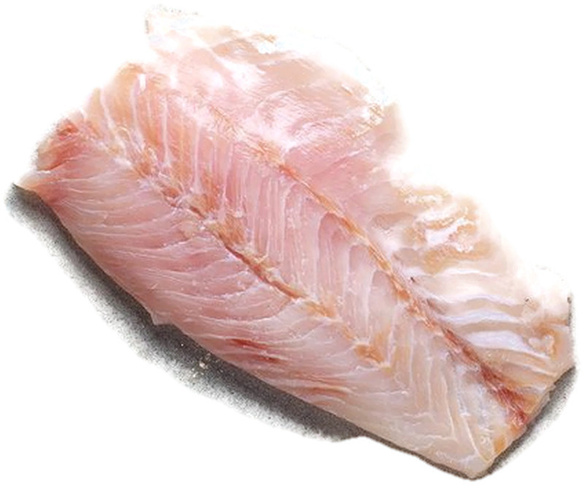 Okoń nilowy filet / ok 10% galzury /