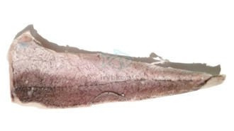 Dorsz filet nowozelandzki ze skórą - 0% glazury