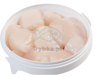 Mięso z małży Św. Jakuba - świeże -(Przegrzebki) 1 kg