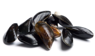 Omułki - małże mrożone 40-60 szt./kg