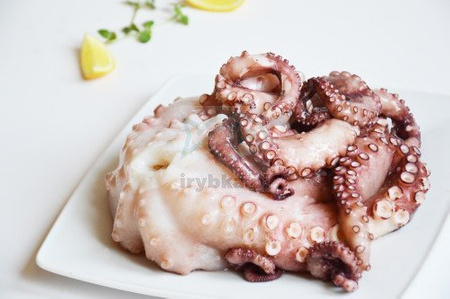 Ośmiornica cała - surowa mrożona / 2,0-3,0kg.