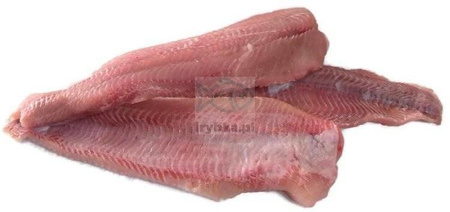 Sum Afrykański - filet bez skóry - świeży